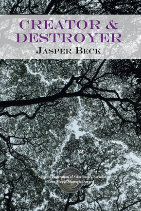 The cover of a really cool book, trust me!