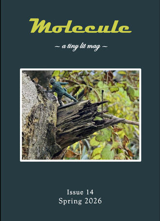 a link to a lit mag