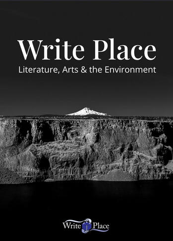 cover of Write Place